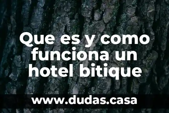 Que es y como funciona un hotel bitique