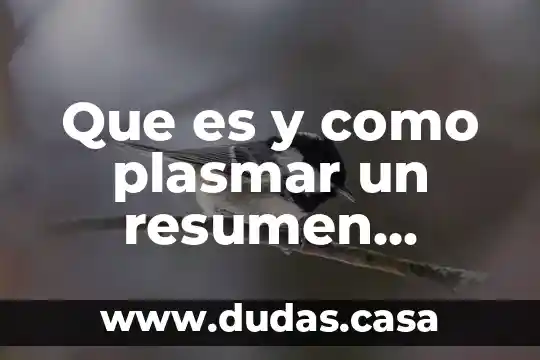 Que es y como plasmar un resumen profesional