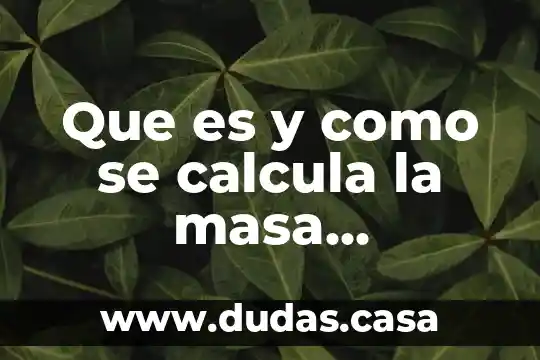 Que es y como se calcula la masa molecular