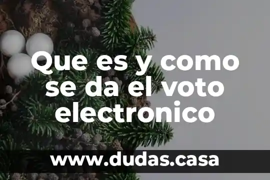 Que es y como se da el voto electronico