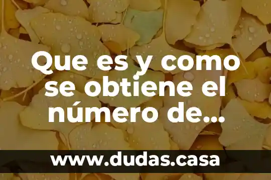 Que es y como se obtiene el número de oxidación