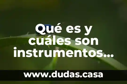 Qué es y cuáles son instrumentos de investigación documental