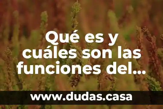 Qué es y cuáles son las funciones del glucocalix