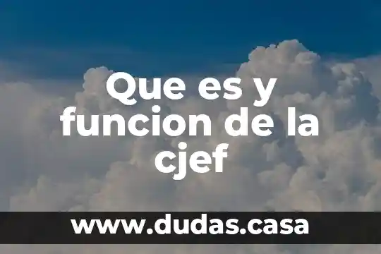 Que es y funcion de la cjef