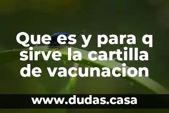 Que es y para q sirve la cartilla de vacunacion