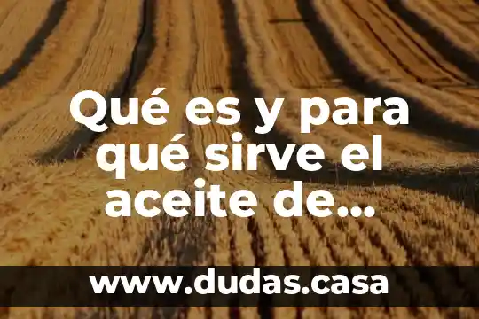 Qué es y para qué sirve el aceite de inmersión