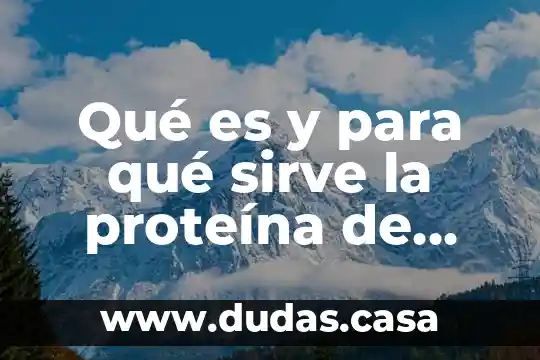 Qué es y para qué sirve la proteína de soya