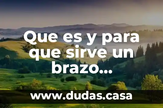 Que es y para que sirve un brazo hidraulico