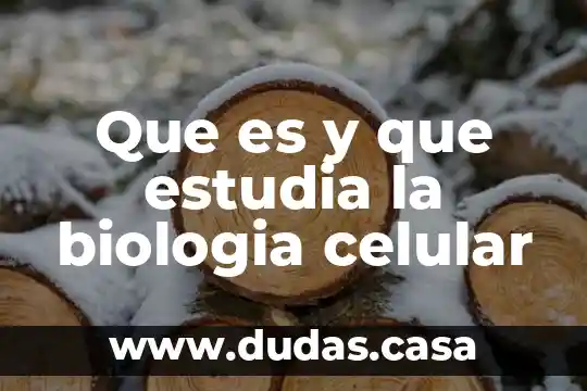 Que es y que estudia la biologia celular