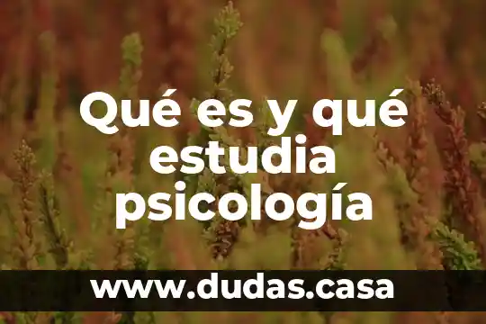 Qué es y qué estudia psicología