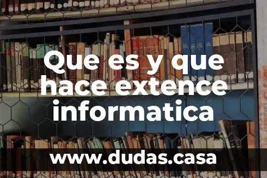 Que es y que hace extence informatica