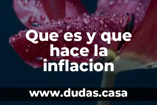 Que es y que hace la inflacion