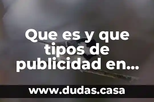 Que es y que tipos de publicidad en internet existen