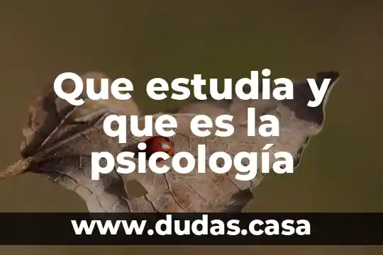 Que estudia y que es la psicología
