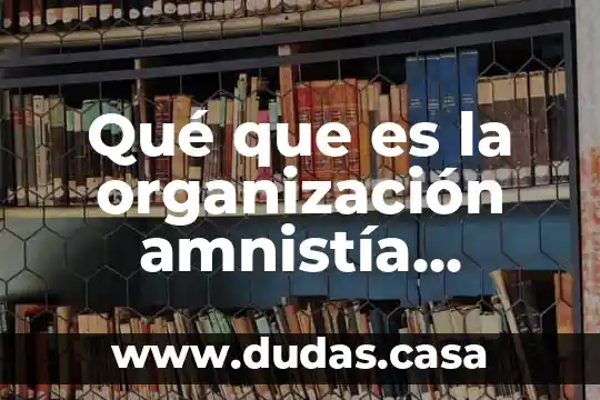 Qué que es la organización amnistía internacional