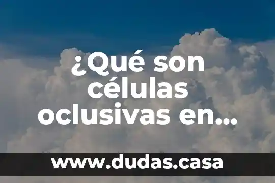 ¿Qué son células oclusivas en biología?