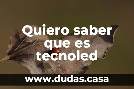 Quiero saber que es tecnoled