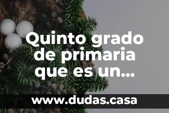 Que es mas chico seis quinto o dos 5 Quinto grado de primaria que es un relato historico