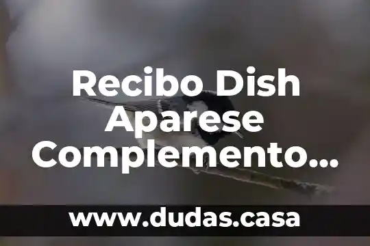Recibo Dish Aparese Complemento Pago Sin Descuento Que Es