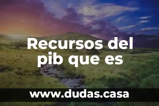 Recursos del pib que es