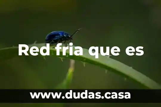 Red fria que es