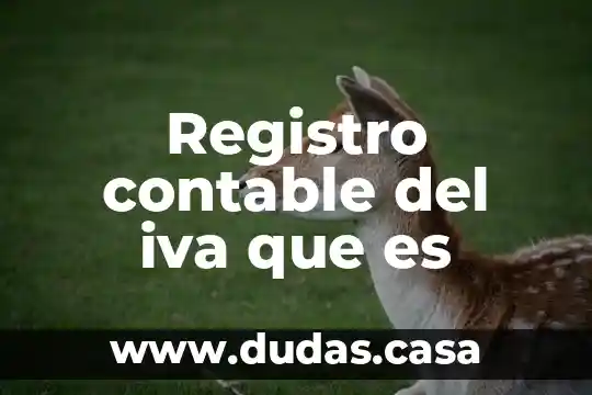 Registro contable del iva que es