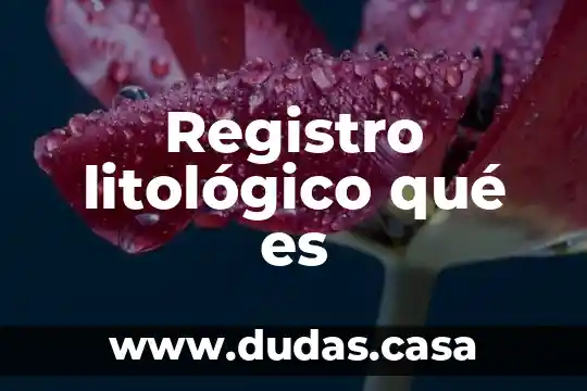 Registro litológico qué es