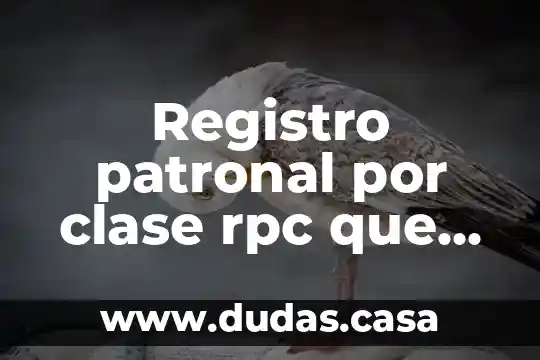 Registro patronal por clase rpc que es