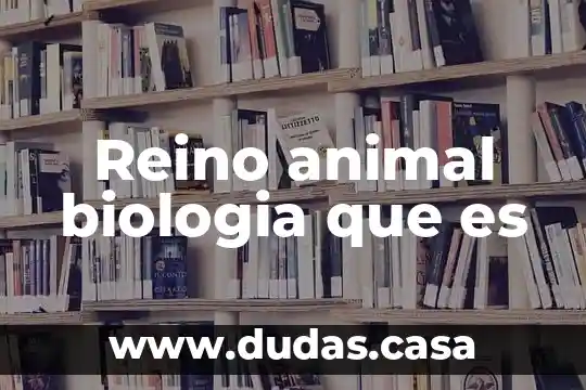 Reino animal biologia que es