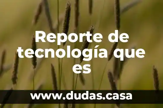 Reporte de tecnología que es