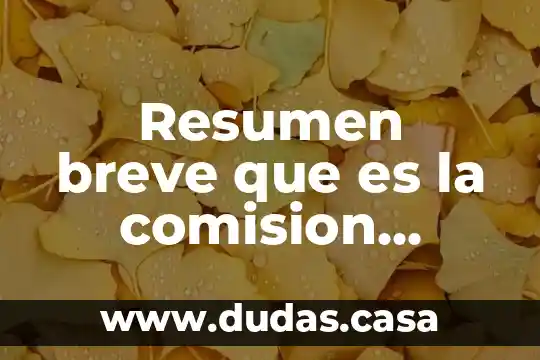 Resumen breve que es la comision interamericana de derechos humanos