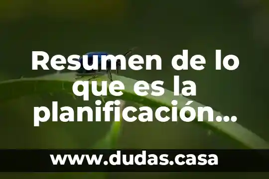 Resumen de lo que es la planificación en una organización