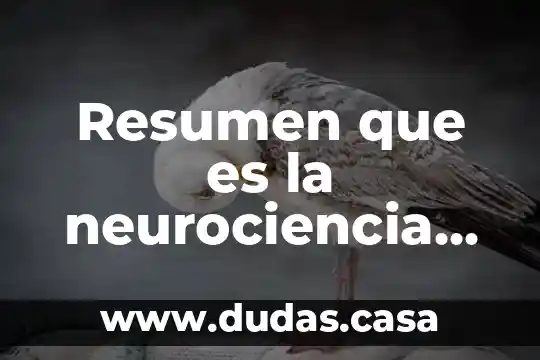 Que es el surrealismo resumen 5 Resumen que es la neurociencia cognitiva