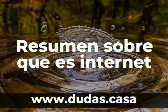 Resumen sobre que es internet