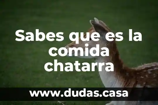 Sabes que es la comida chatarra