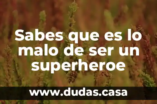 Sabes que es lo malo de ser un superheroe