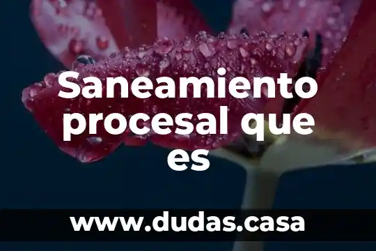 Saneamiento procesal que es
