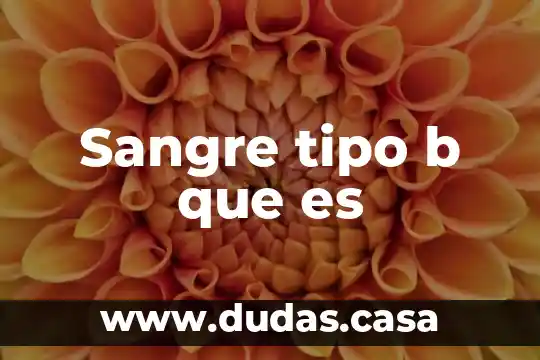 Sangre tipo b que es
