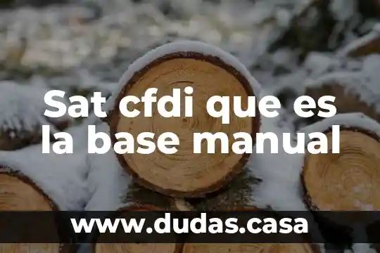 Sat cfdi que es la base manual