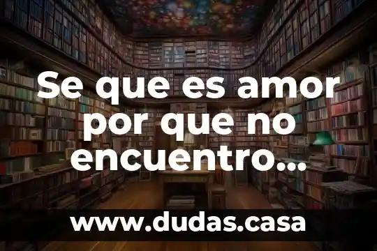 Se que es amor por que no encuentro razon