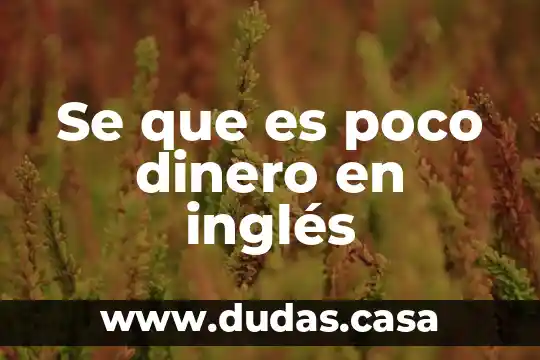 Se que es poco dinero en inglés