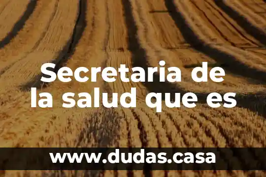 Secretaria de la salud que es