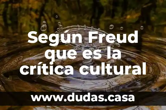 Según Freud que es la crítica cultural