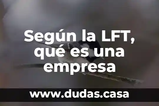 Según la LFT, qué es una empresa
