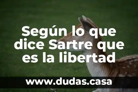 Según lo que dice Sartre que es la libertad