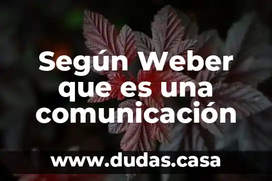 Según Weber que es una comunicación