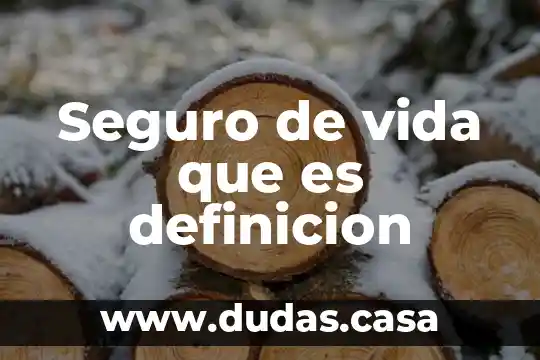 Seguro de vida que es definicion