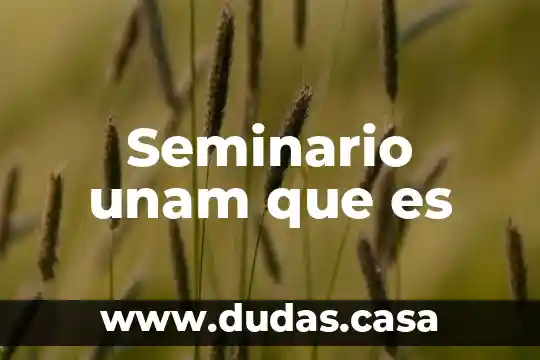 Seminario unam que es
