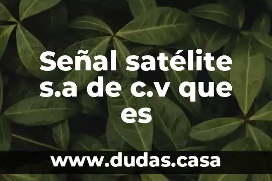 Señal satélite s.a de c.v que es
