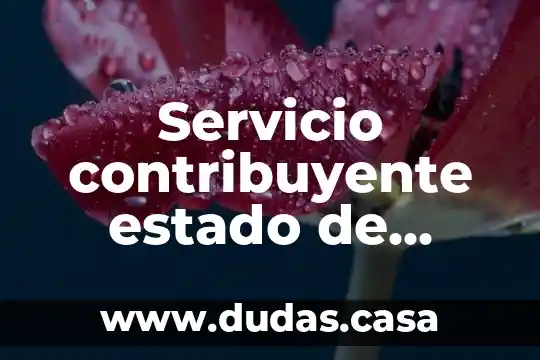 Servicio contribuyente estado de mexico que es